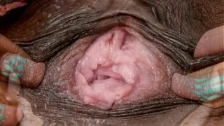 Female textures – Morphing 1 (HD 1080p)(Vagina close up hairy sex pussy)(by rumesco) Video